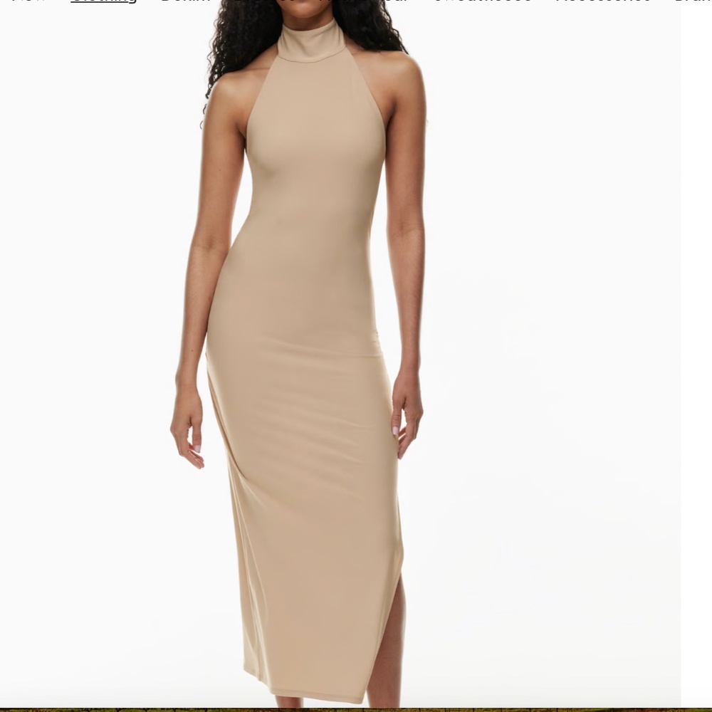 Aritzia Wilfred remedy dress
